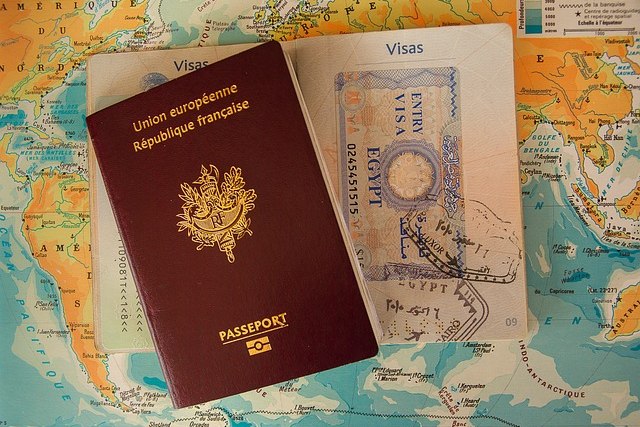 Expert Visa Assistance Services